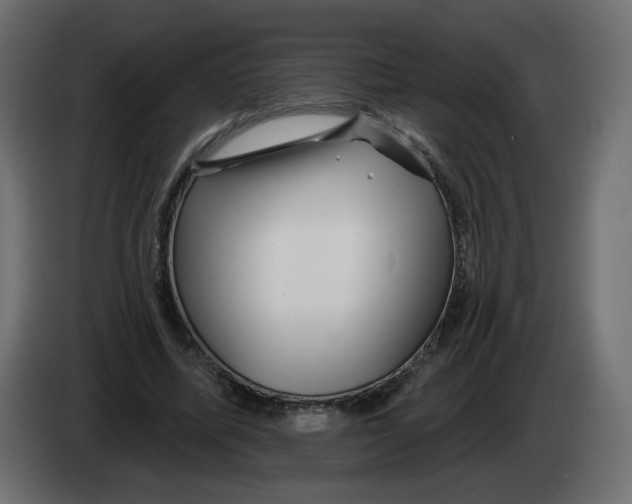 X0000082960587200703020214