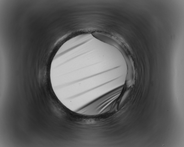 X0000082960588200703020214