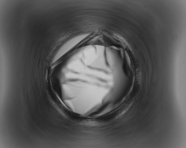 X0000082960589200703020214