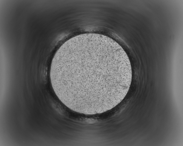 X0000082960592200703020214