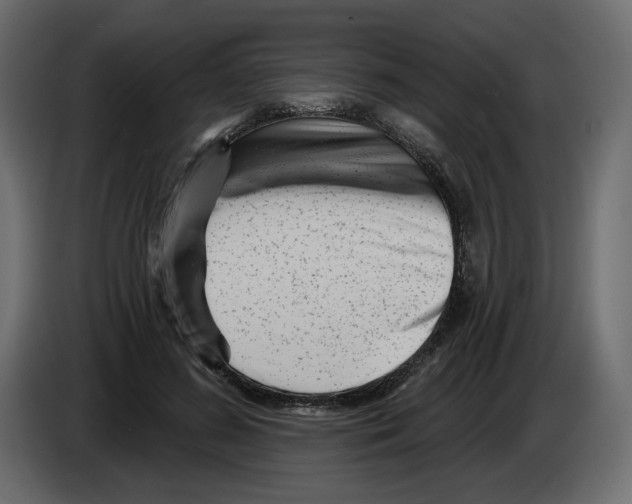 X0000082960596200703020214