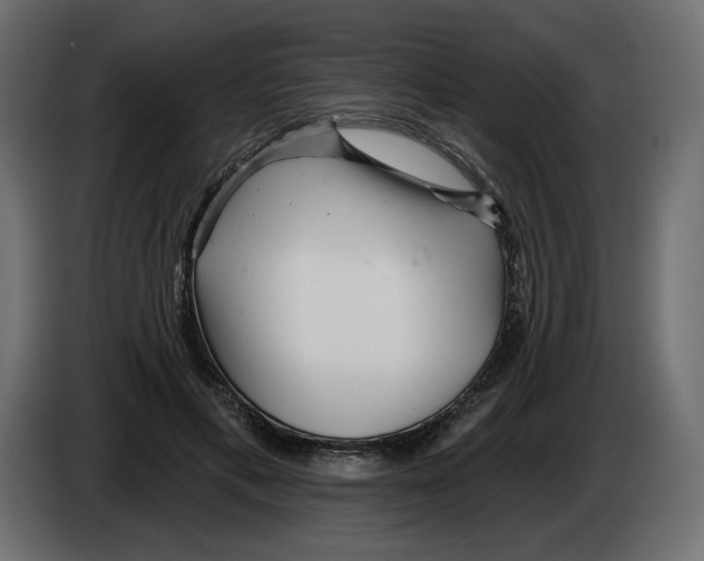 X0000082960597200703020214