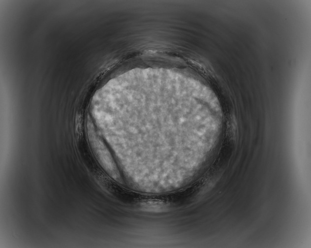 X0000082960598200703020214