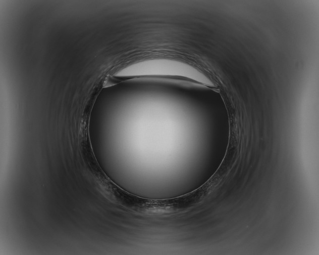 X0000082960601200703020214