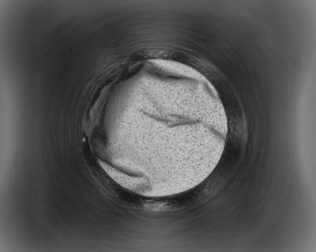 X0000082960602200703020214