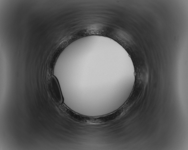 X0000082960603200703020214