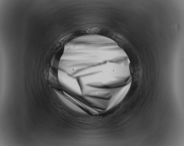 X0000082960604200703020214