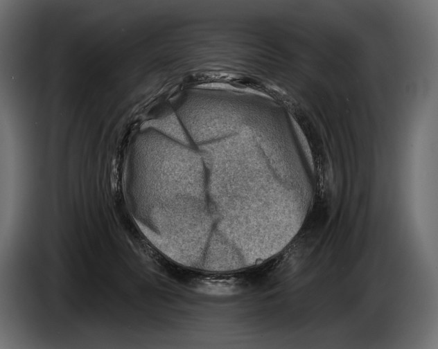 X0000082960606200703020214