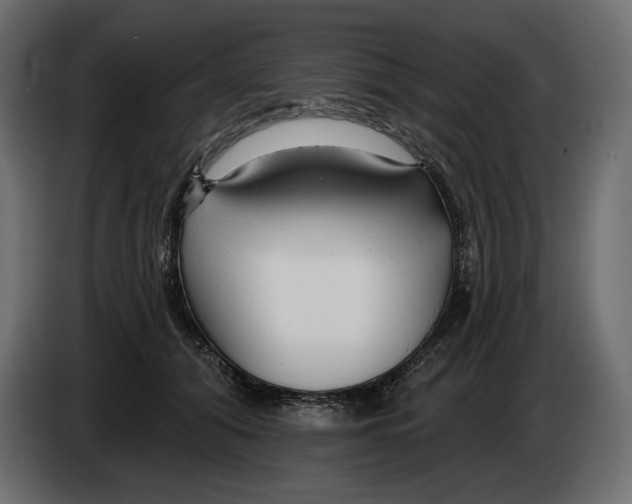 X0000082960608200703020214