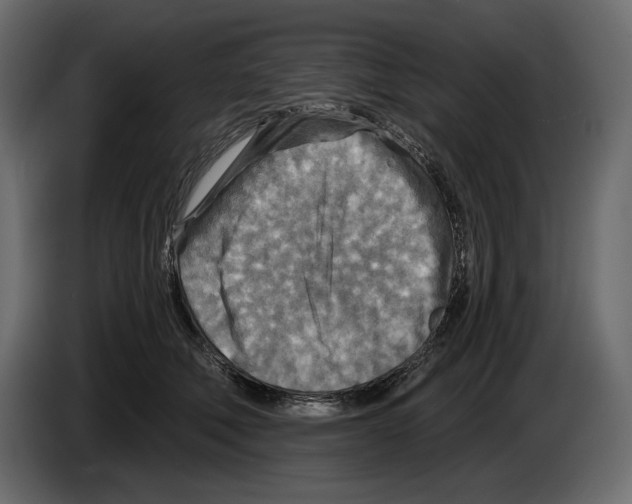 X0000082960610200703020214