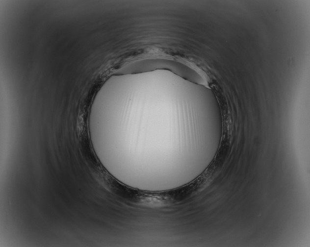 X0000082960611200703020214