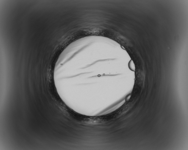 X0000082960612200703020214