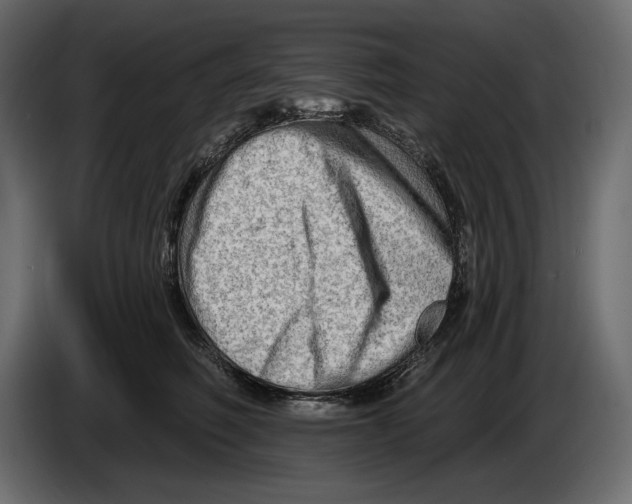 X0000082960614200703020214