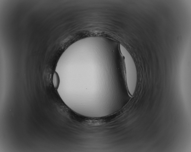 X0000082960615200703020214