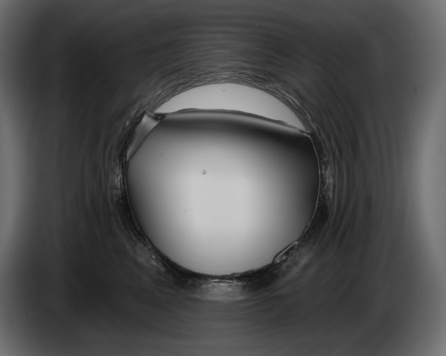 X0000082960617200703020214