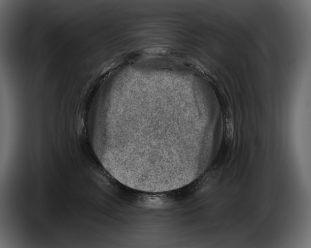 X0000082960618200703020214