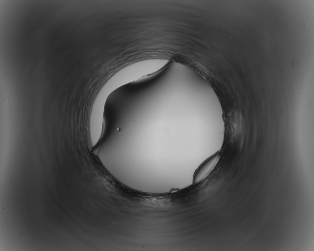 X0000082960619200703020214