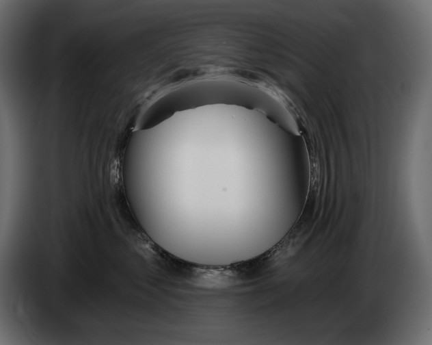 X0000082960621200703020214