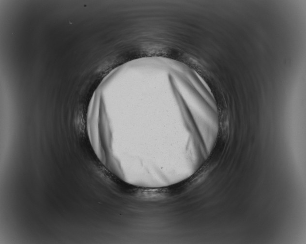 X0000082960622200703020214