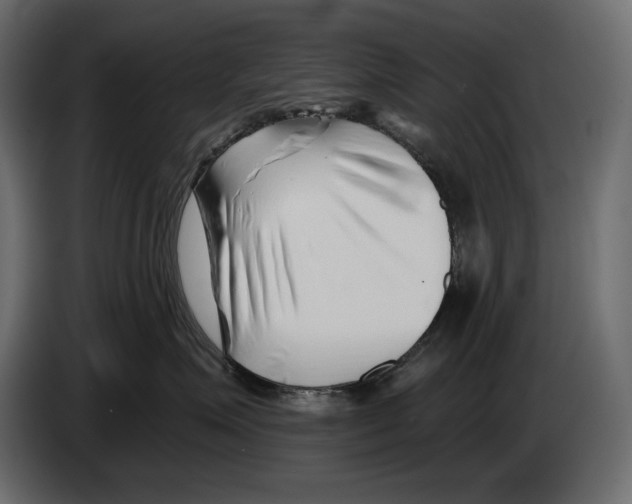 X0000082960623200703020214