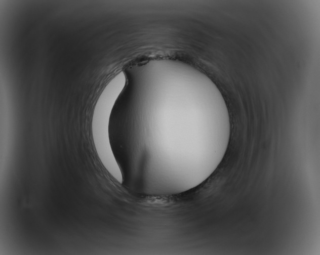 X0000082960624200703020214