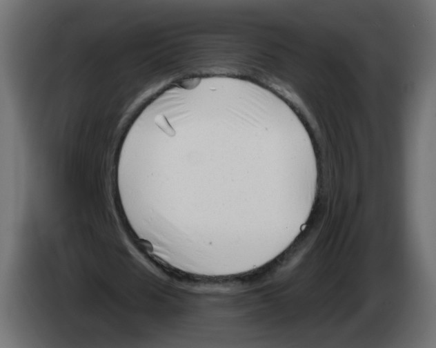 X0000082960625200703020213