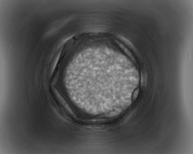 X0000082960627200703020213