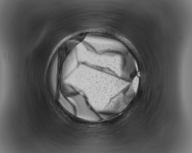 X0000082960628200703020213