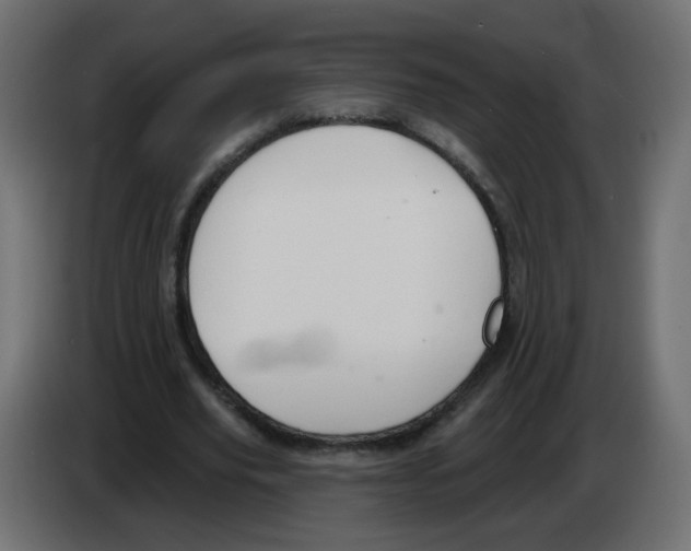 X0000082960629200703020213