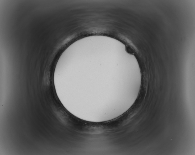 X0000082960631200703020213