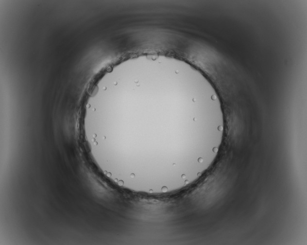 X0000082960632200703020213