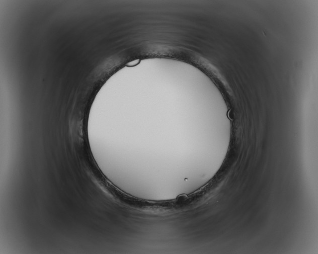 X0000082960633200703020213