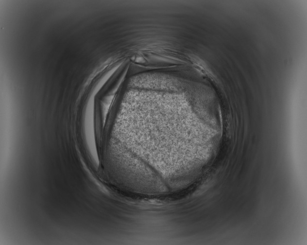 X0000082960634200703020213