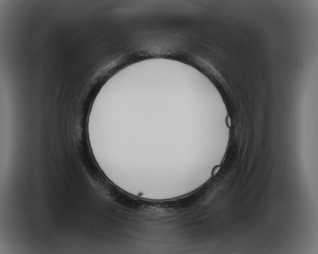 X0000082960635200703020213