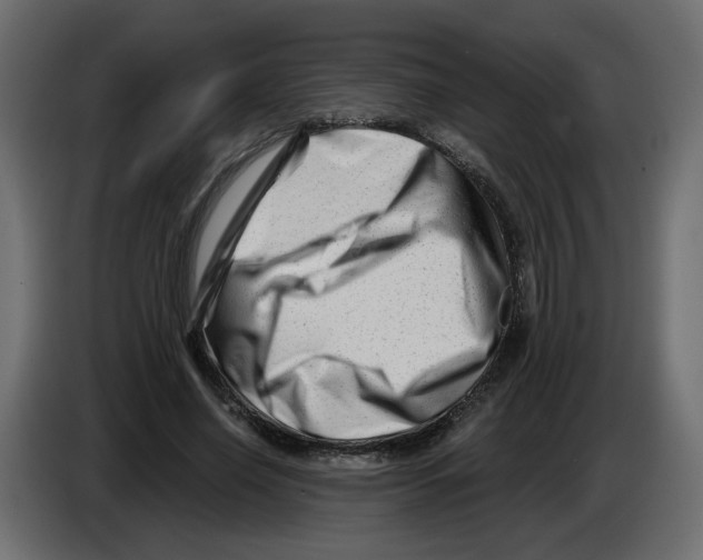 X0000082960638200703020213