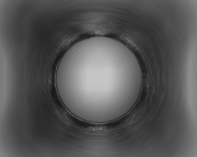 X0000082960639200703020213