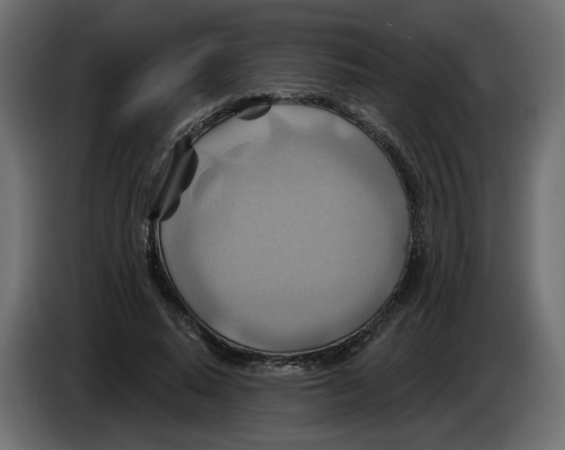 X0000082960640200703020213