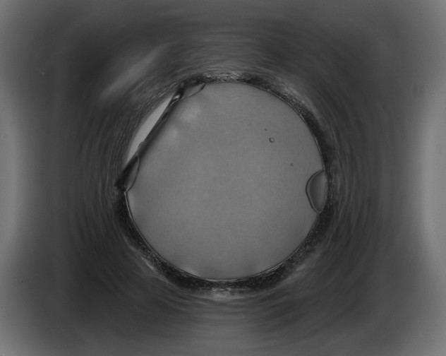 X0000082960641200703020213