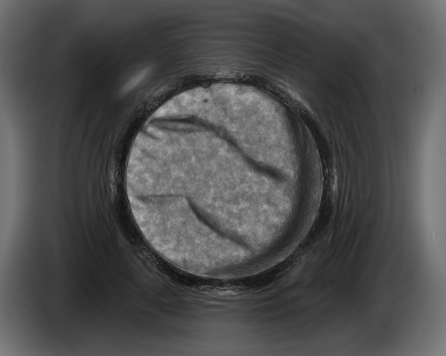 X0000082960643200703020213