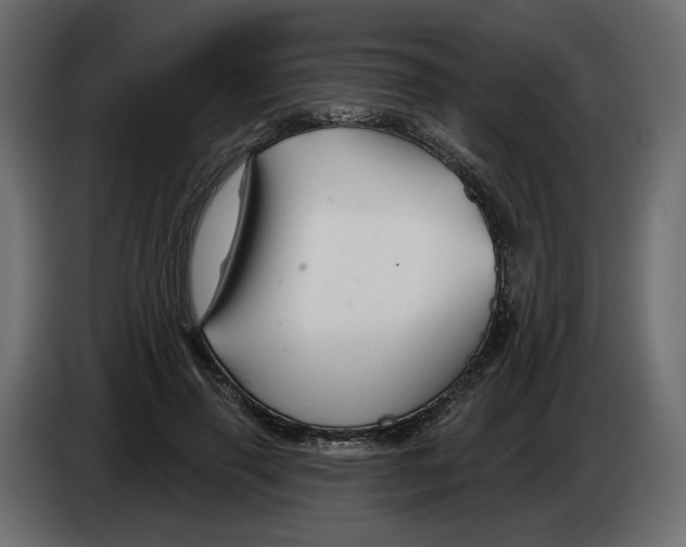 X0000082960645200703020213