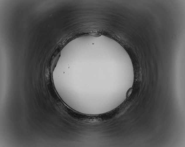 X0000082960646200703020213