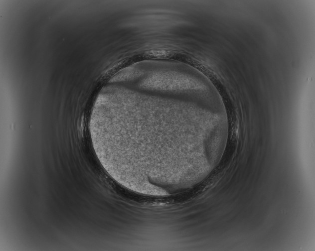 X0000082960647200703020213