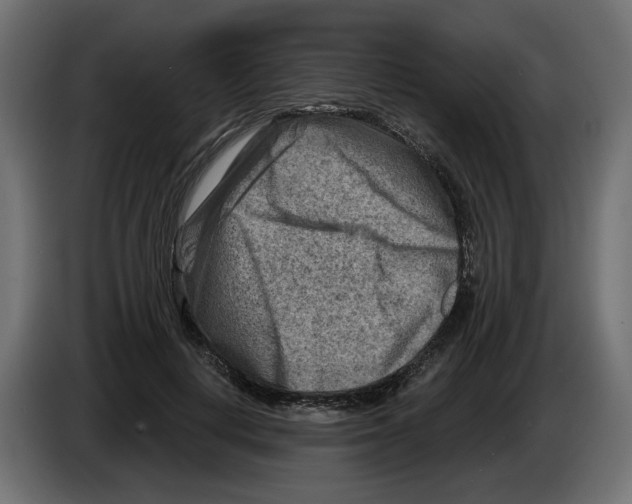 X0000082960648200703020213