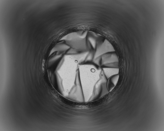 X0000082960649200703020213