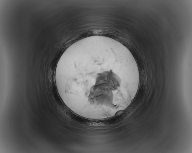 X0000082960650200703020213