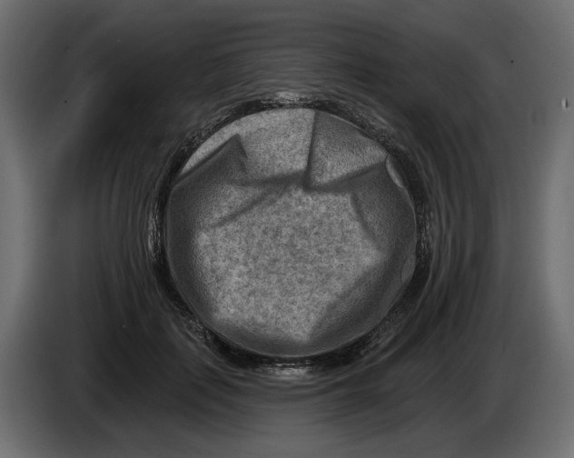 X0000082960651200703020213