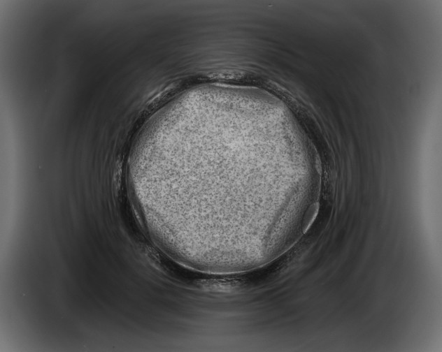 X0000082960652200703020213