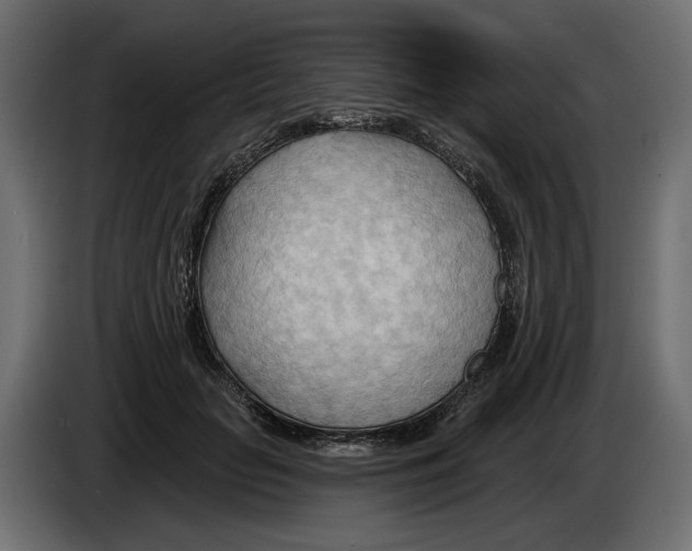 X0000082960653200703020213