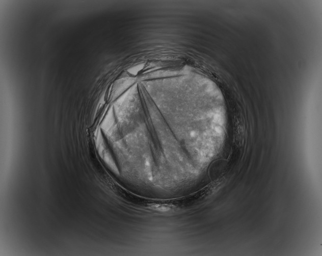 X0000082960654200703020213