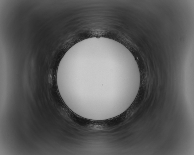 X0000082960655200703020213